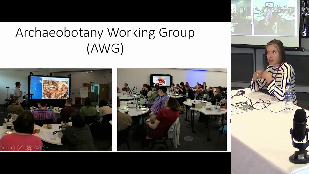 Careers in Archaeobotany (the study of seeds, chaff and other macroscopic plant remains)