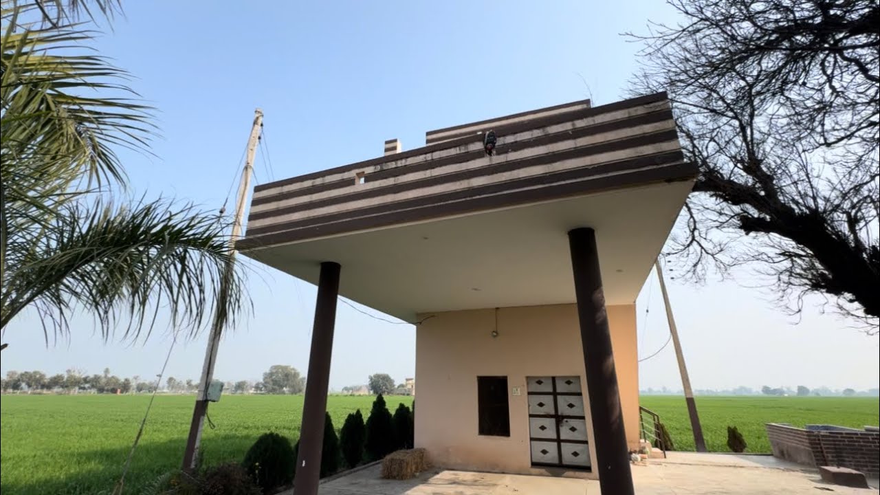 ਦੌਸਤ  ਨਾਲ  ਖੇਤਾਂ ਵਿੱਚ 🌾( #friends #ਖੇਤੀ #agriculture #farming #farmlife #vlog19 