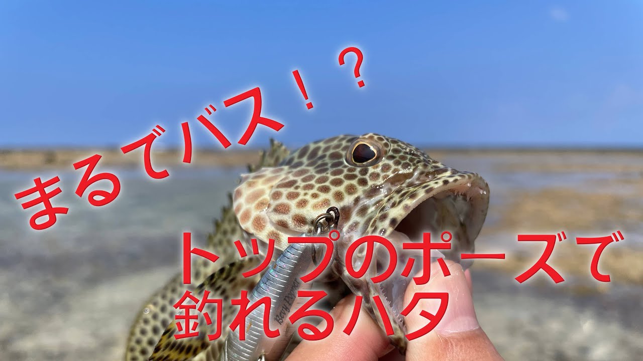 【バイク】×【釣り】釣ーリングへ！