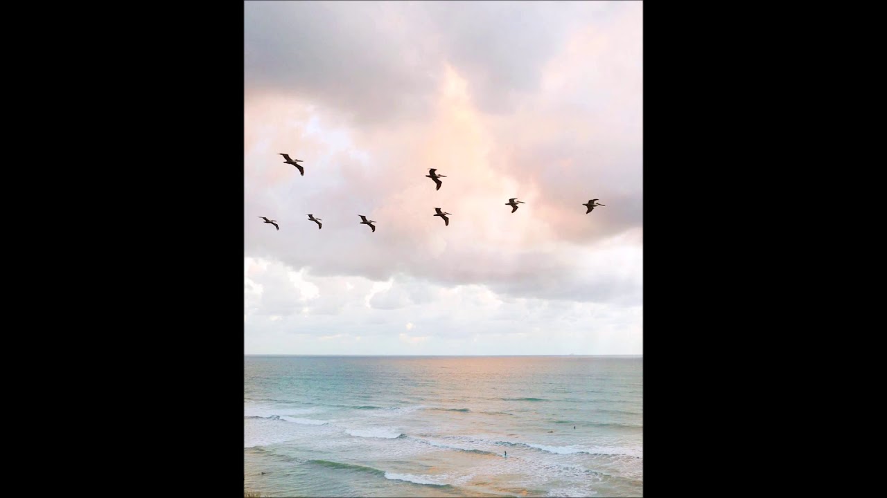 Arrival of the Birds (1 semitone higher pitch version)