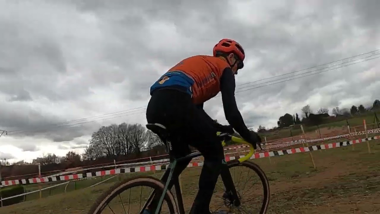 CX GARGAS BRUNO