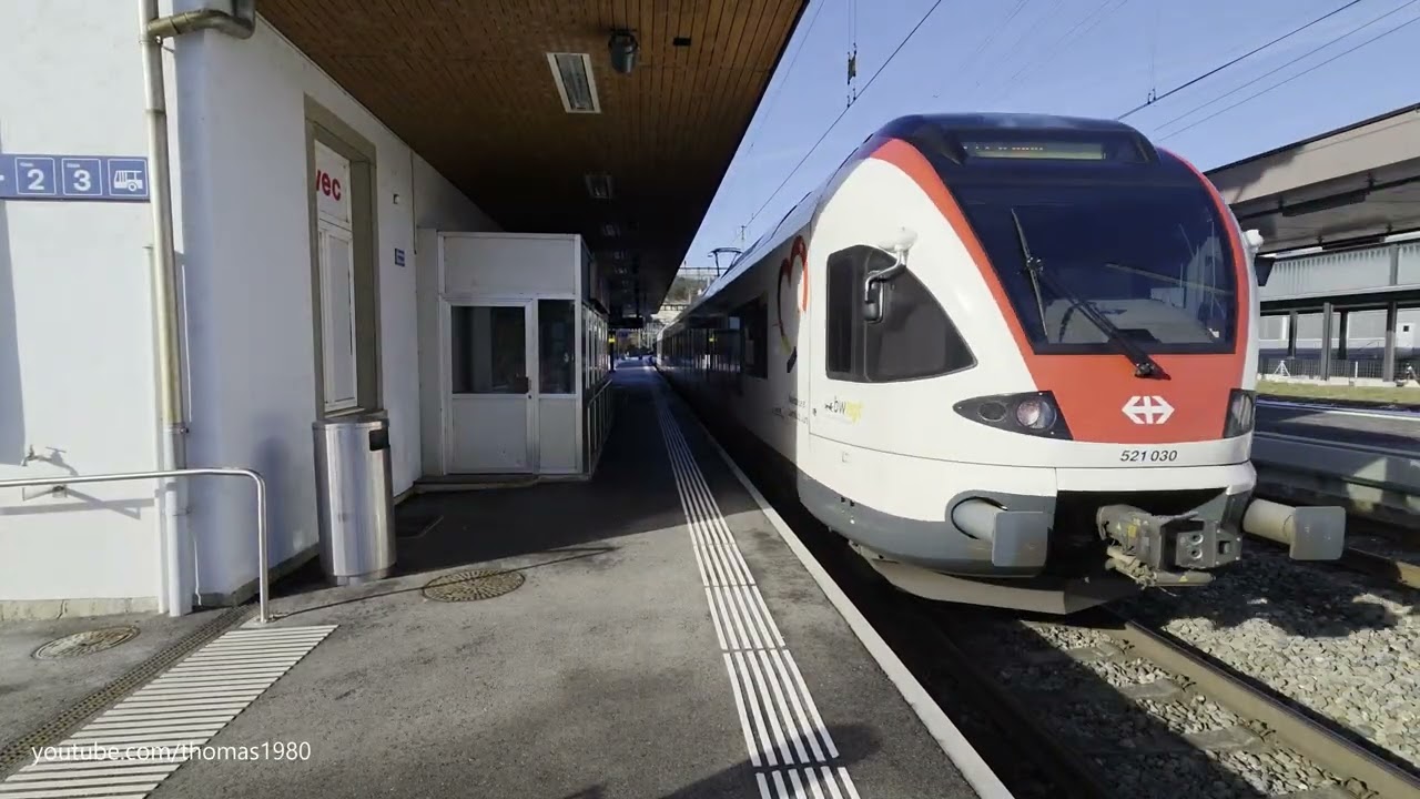 Personenzüge und viele Spatzen im Gebüsch beim Bahnhof Aarburg-Oftringen