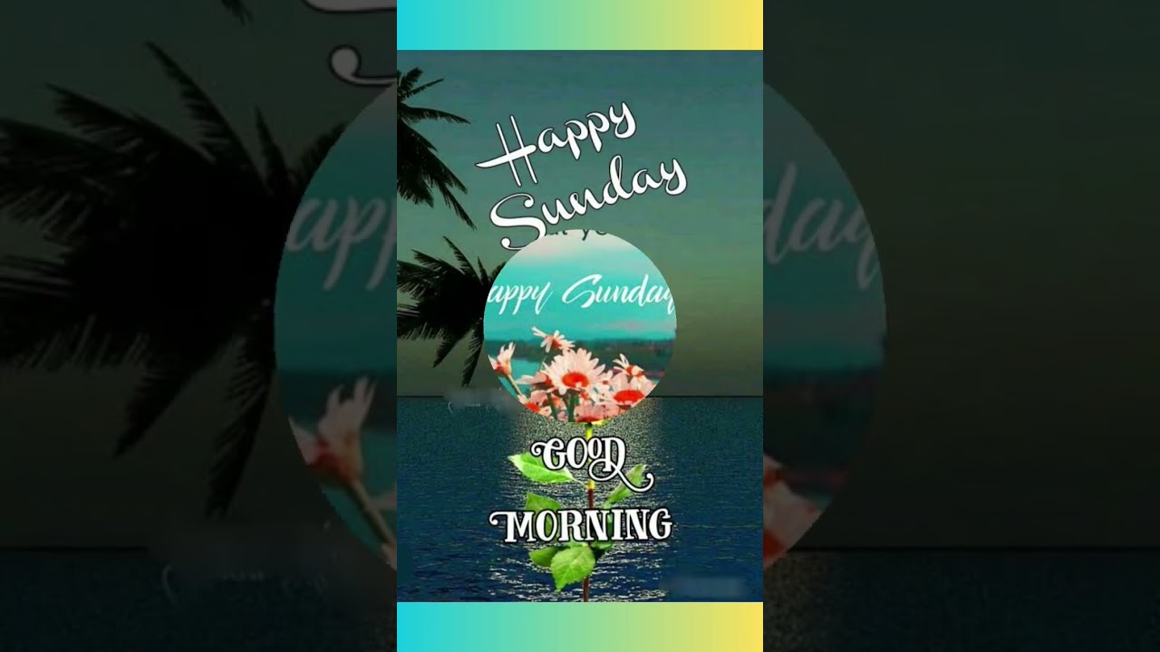 Good morning wishes// Good morning whatsapp status video// Good morning status #Sunday #morning