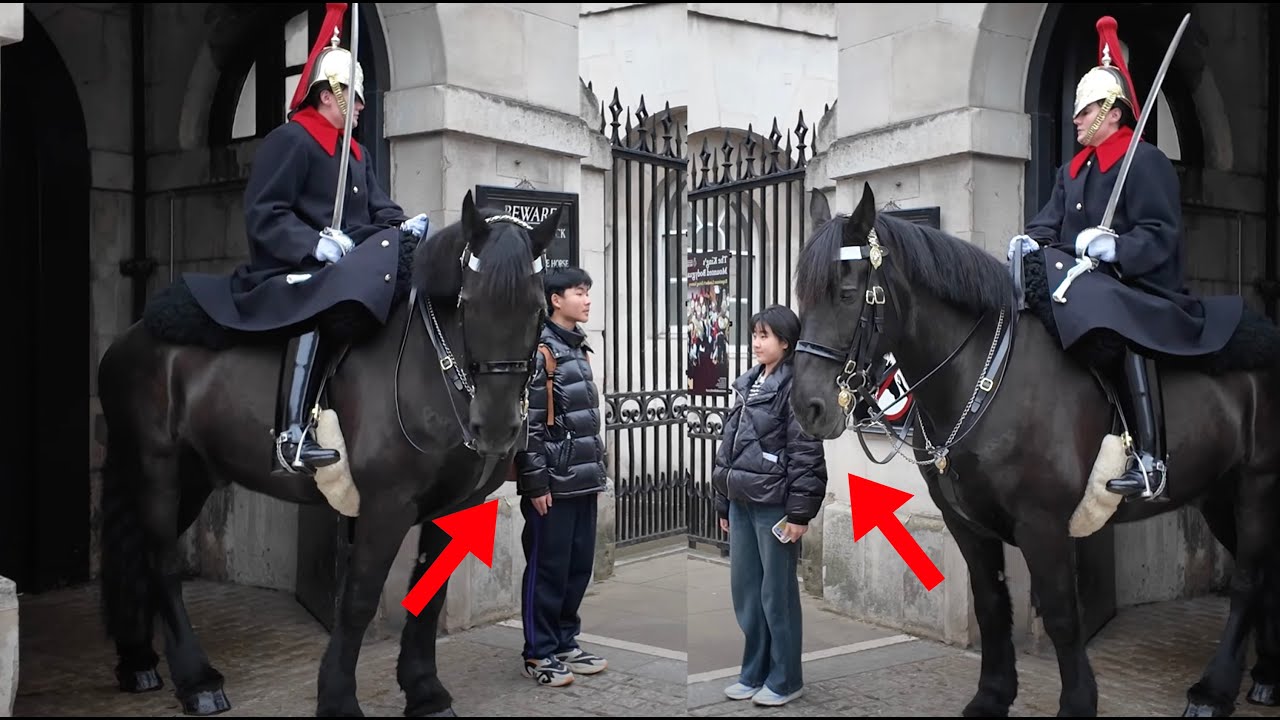 He DIDN'T UNDERSTAND?! or Did He Just TOTALLY IGNORE THE GUARD?!.. Guard TOLD Him OFF TWICE!!