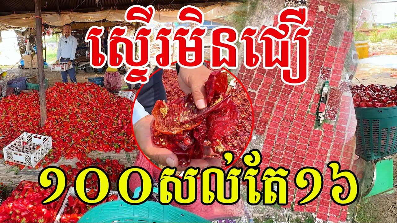 ទើបឃើញ ស្រកអស់ ១០០គីឡូនៅសល់តែ១៦គីឡូទេ
