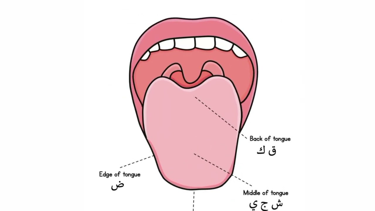 Почему неарабам сложно правильно произносить Коран
