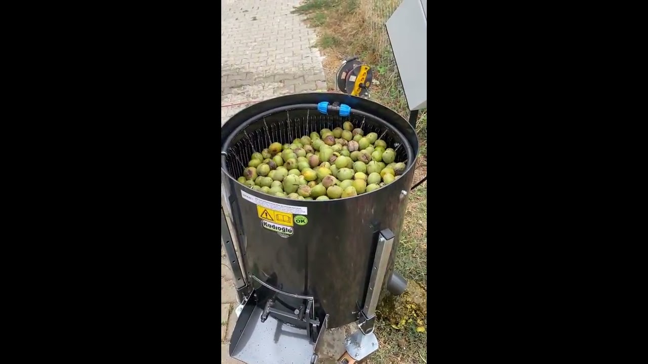 Kadıoğlu CKS90160D Model Hassas Devir Ayarlı Ceviz Soyma Makinesi