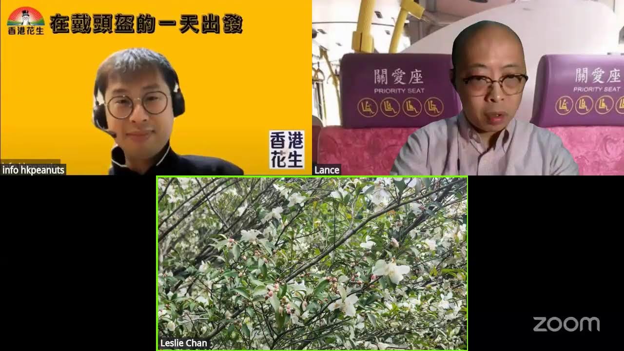 在戴頭盔的一天出發 2026年1月25日