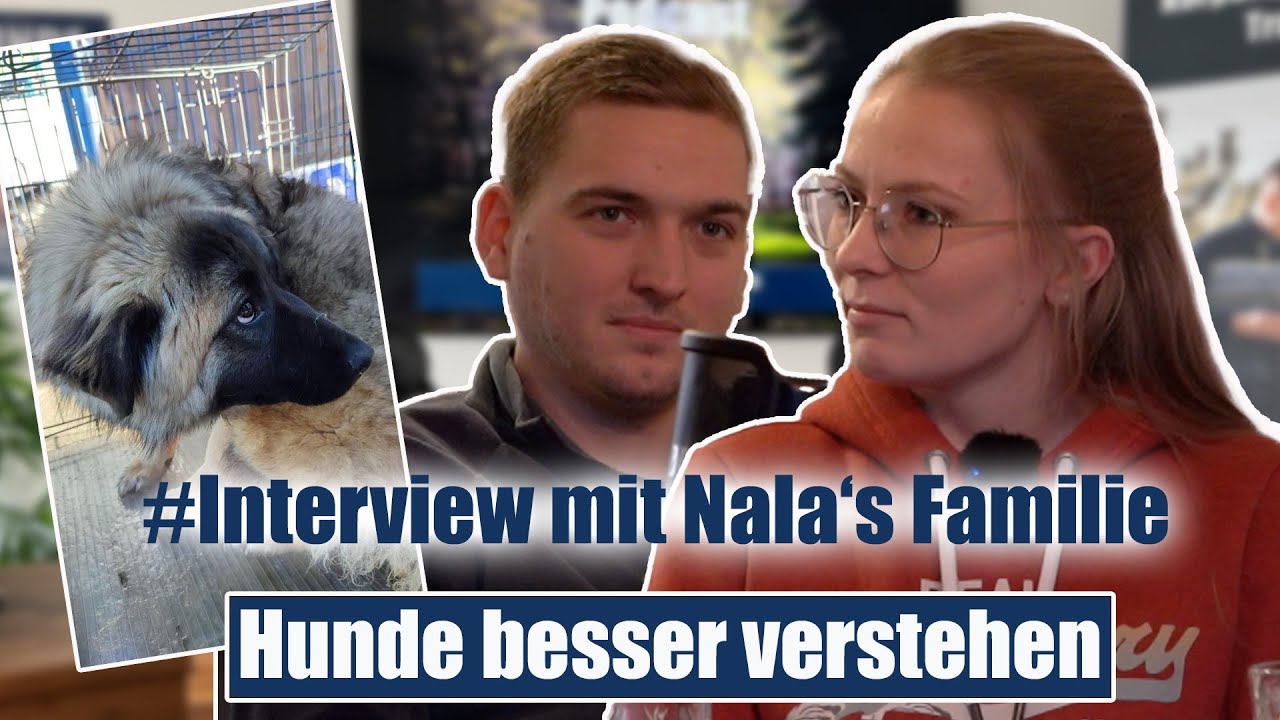 Hund lebt Monate lang im Garten und lässt sich nicht anfassen