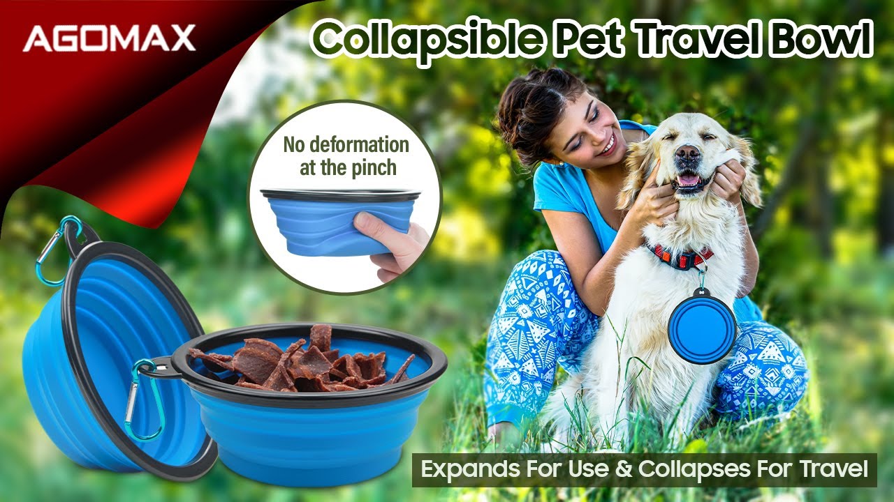 Portable Collapsible Pet Travel Bowl