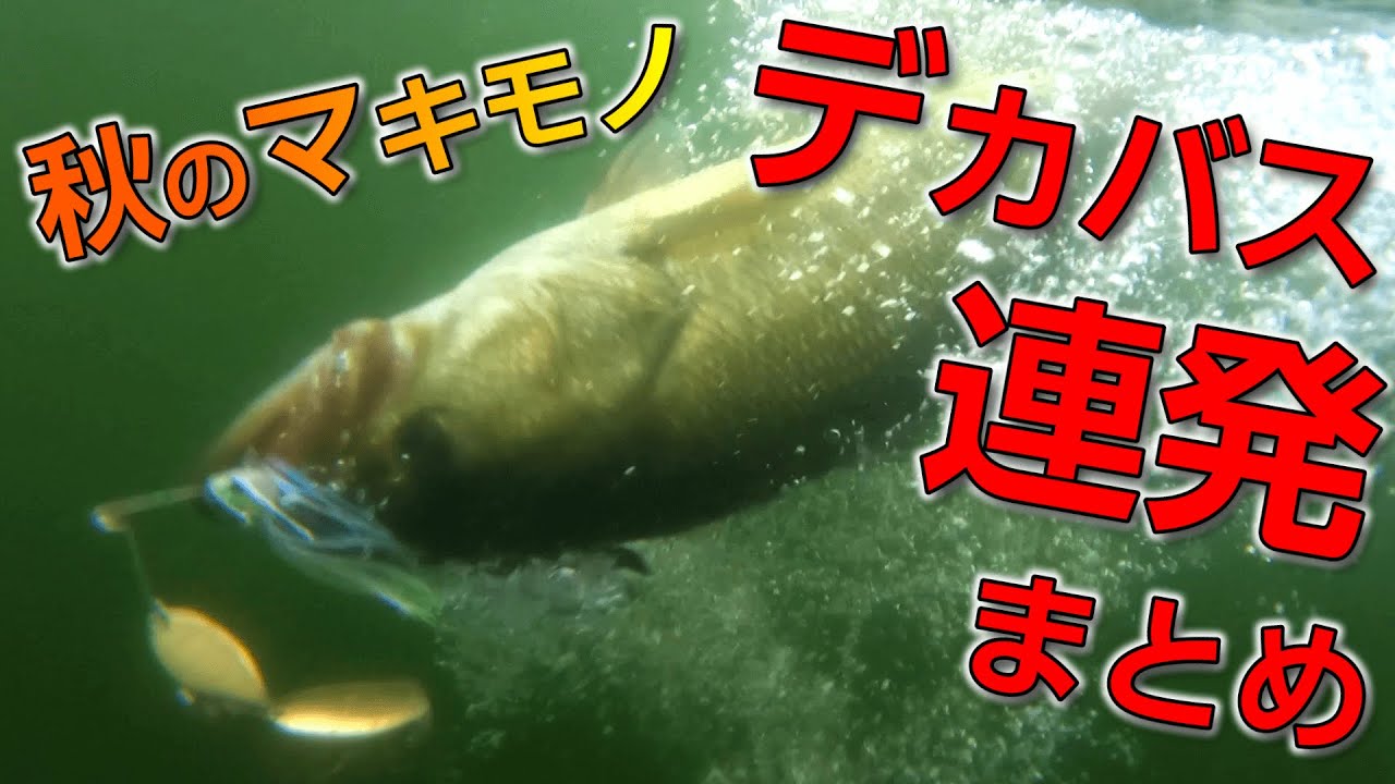 秋のマキモノでデカバス連打集。