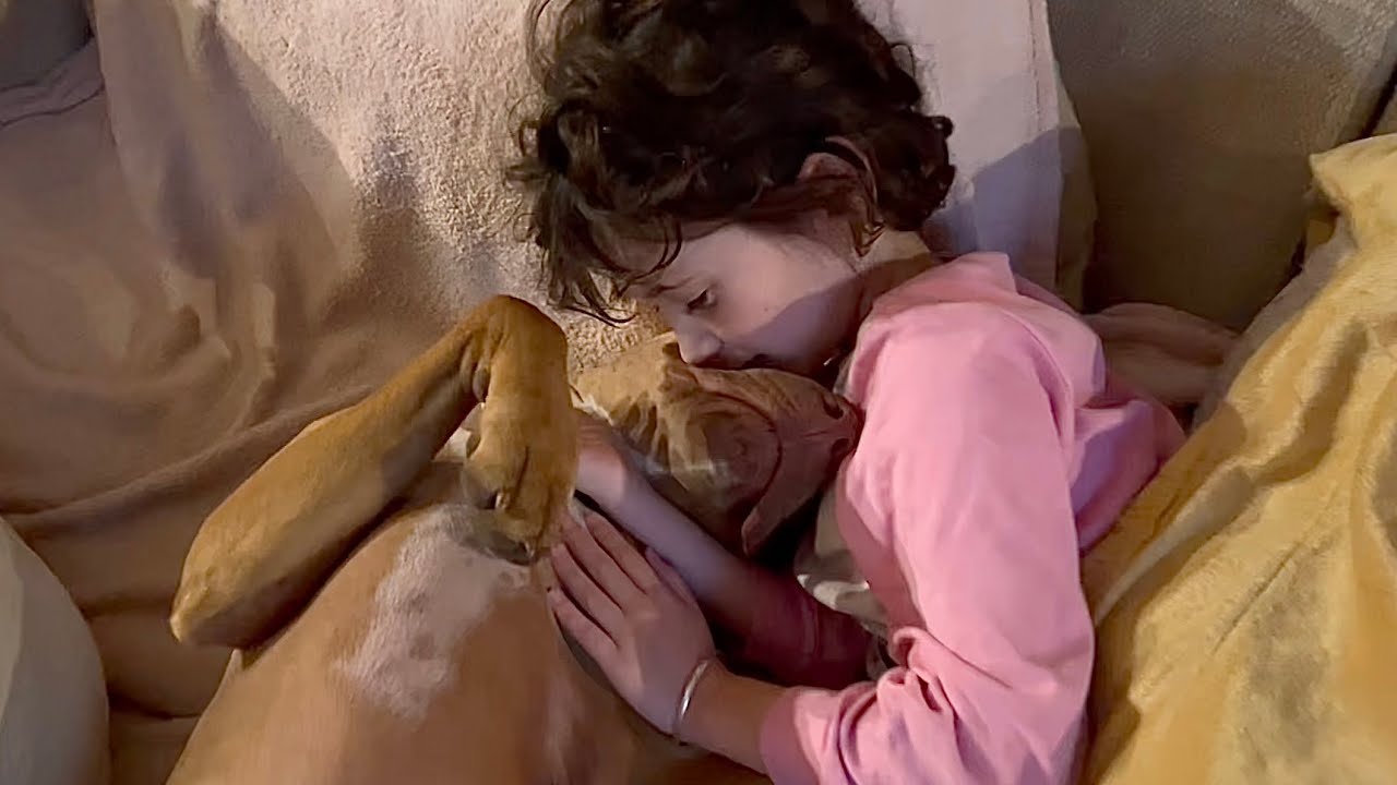 Dogs and Children Loving Life Together | Thank you ❤️