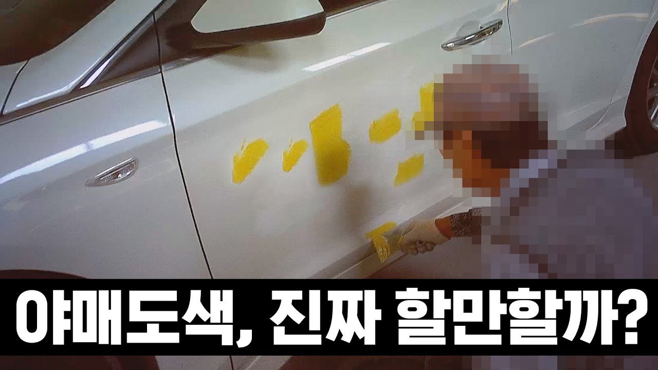 저가 야매도색, 가성비 따져봤습니다