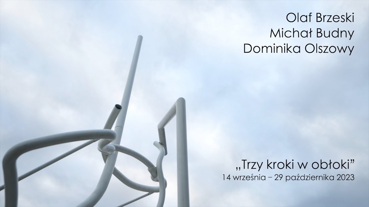 Trzy kroki w obłoki Olaf Brzeski, Michał Budny, Dominika Olszowy