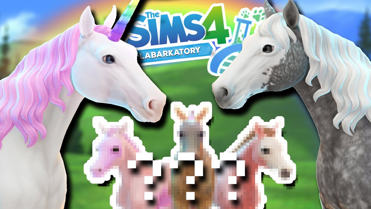 Fields of UNICORN x AMERICAN PAINT Foals!! 🦄💕🧬🐴