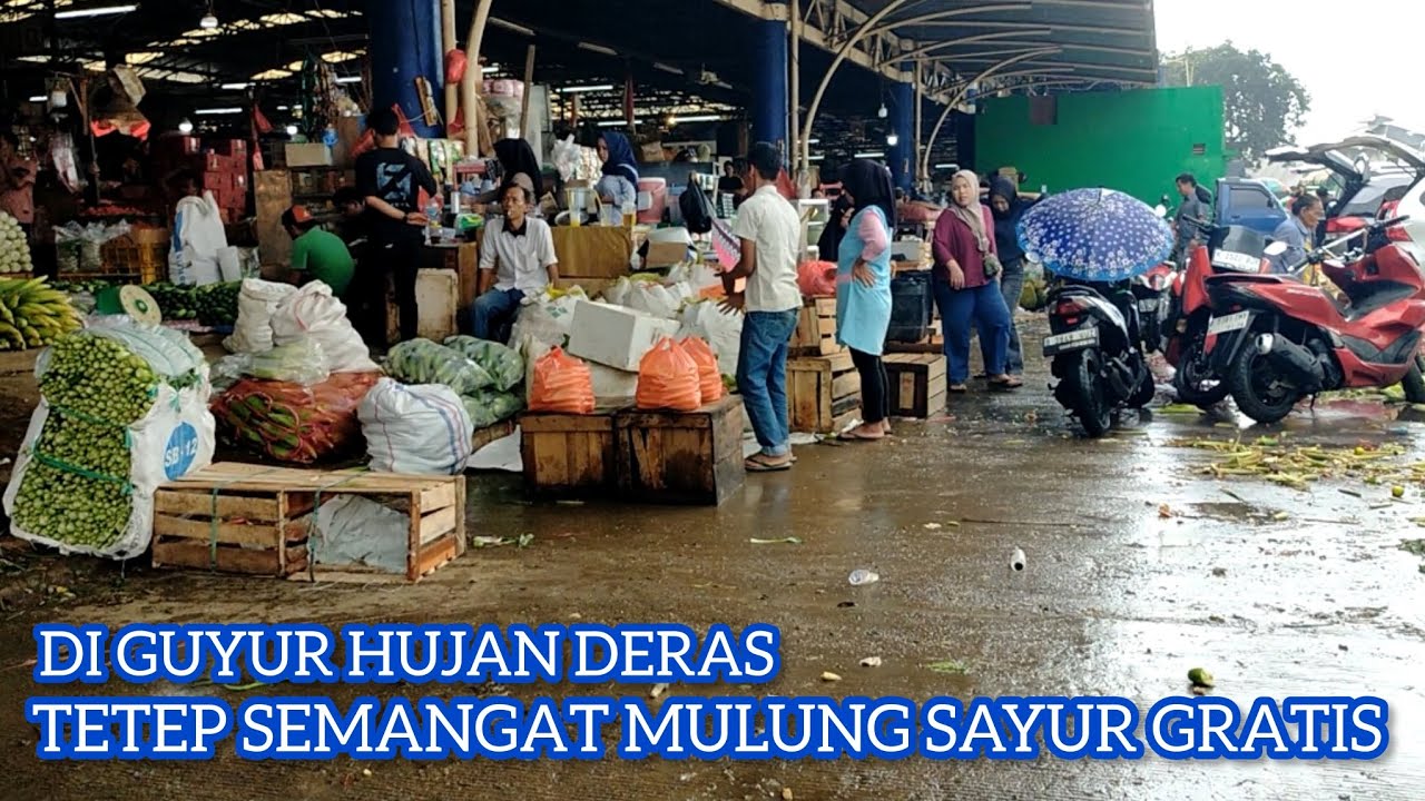 MULUNG SAYUR GRATIS, DAPET TOMAT MUNGIL MERAH MERONAH 😻😍