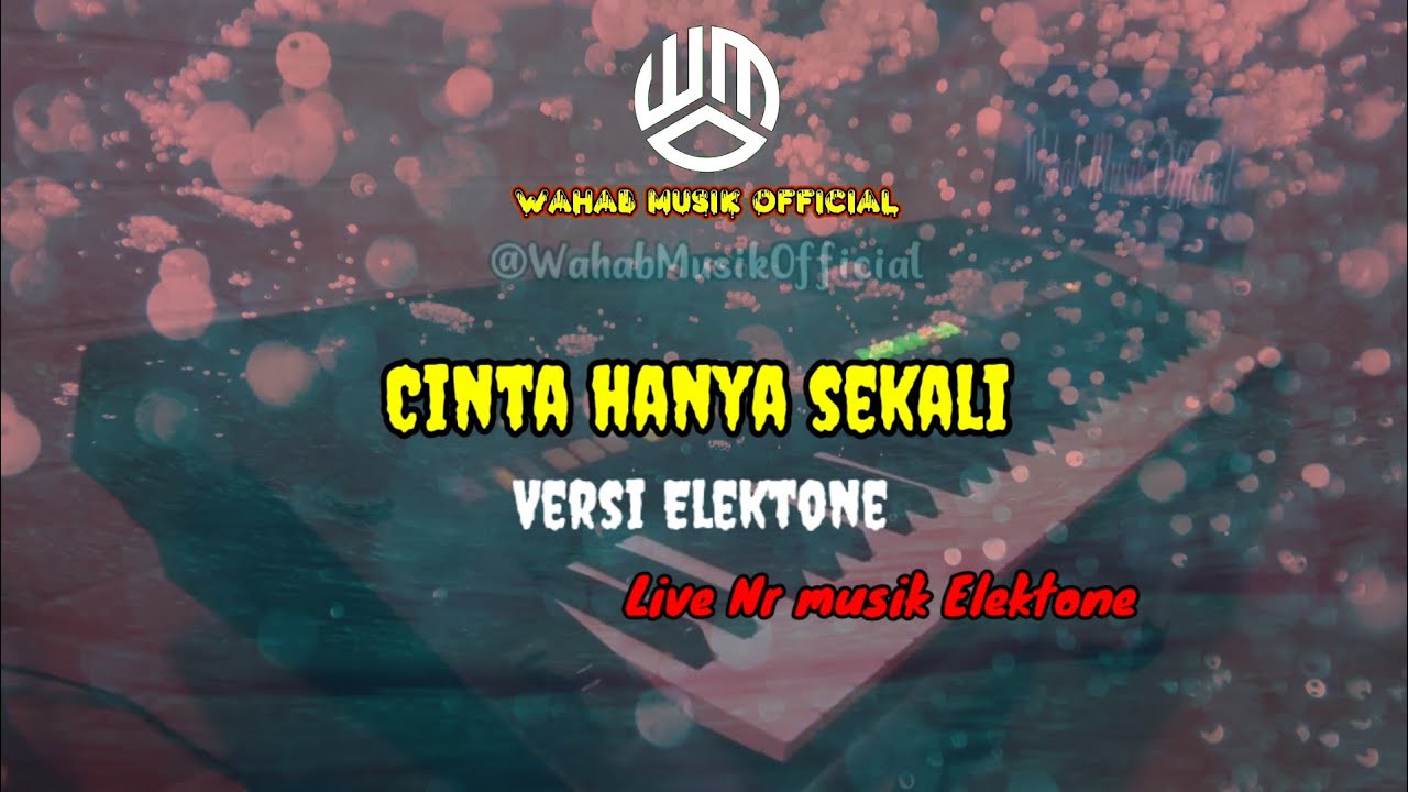 Lagu dangdut versi electone || Cinta hanya sekali / Vocal ani Wulandari