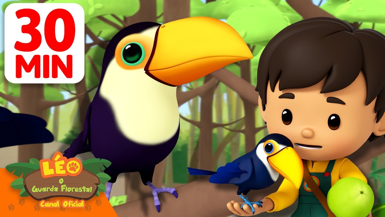 Os Rangers Júnior fazem amizade com um tucano-toco! | 30 Min | Leo, O Guarda Florestal | Animação