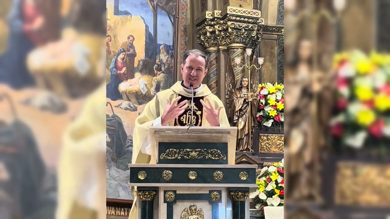 Homilia - Conversão de São Paulo, Apóstolo - 25/01/2026 (Pe. Alessandro de Borbón)
