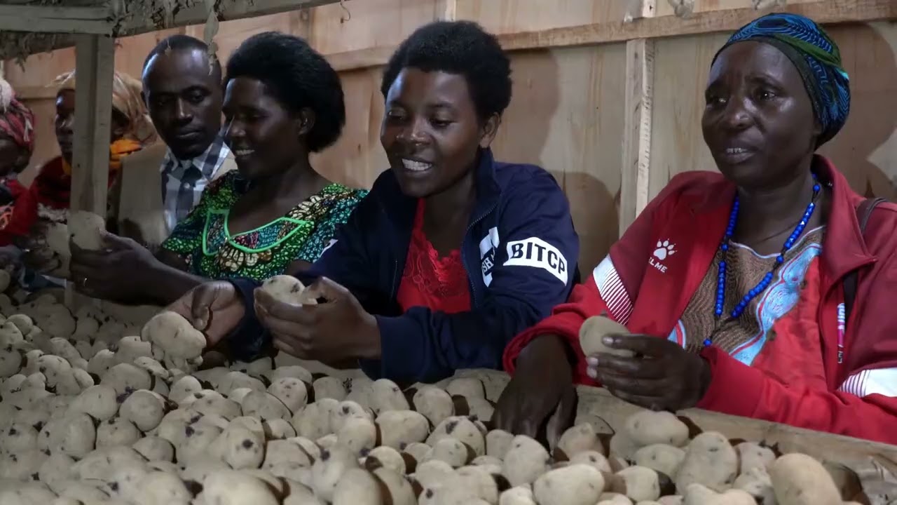 CROP Insurance in Northern Province
