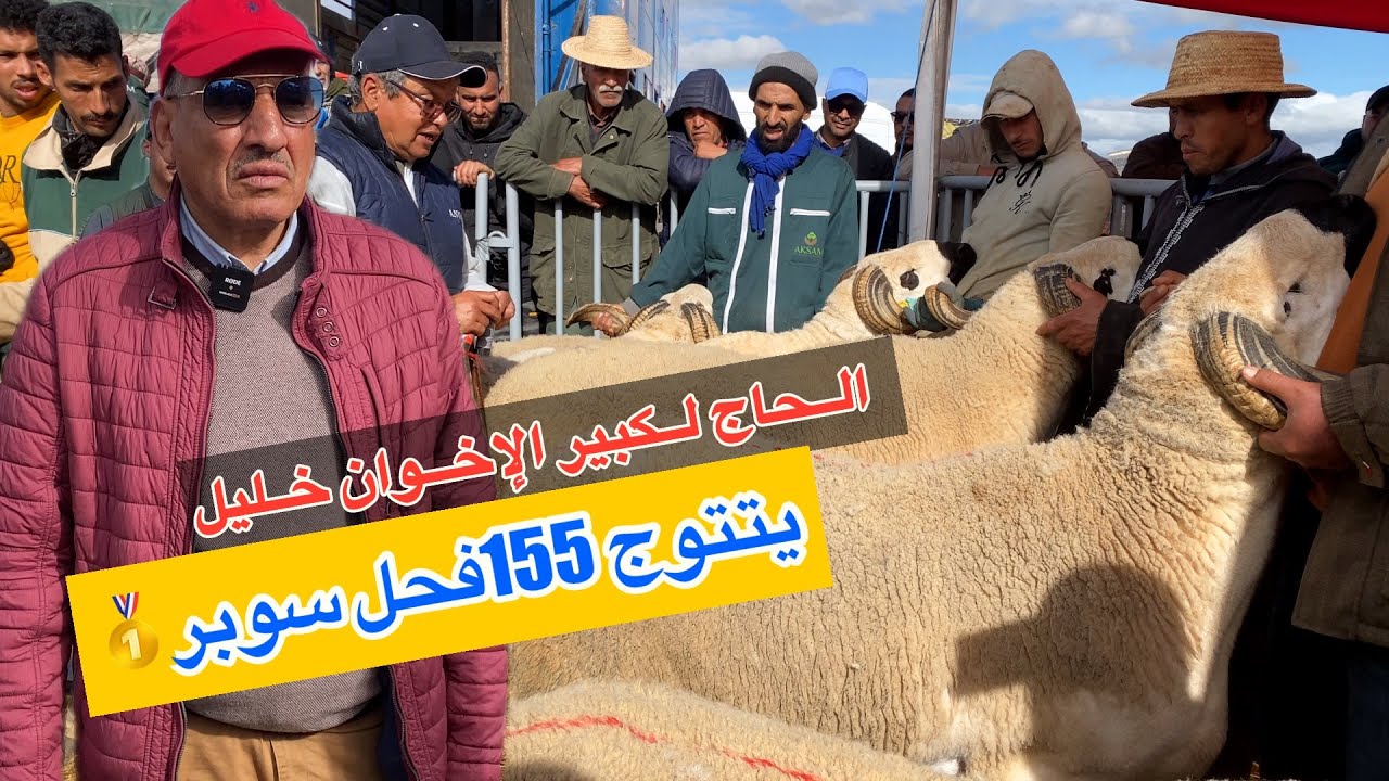 يتتوج الحاج لكبير الإخوان خليل 155فحل سوبر🥇تجمع الفرافرة✅