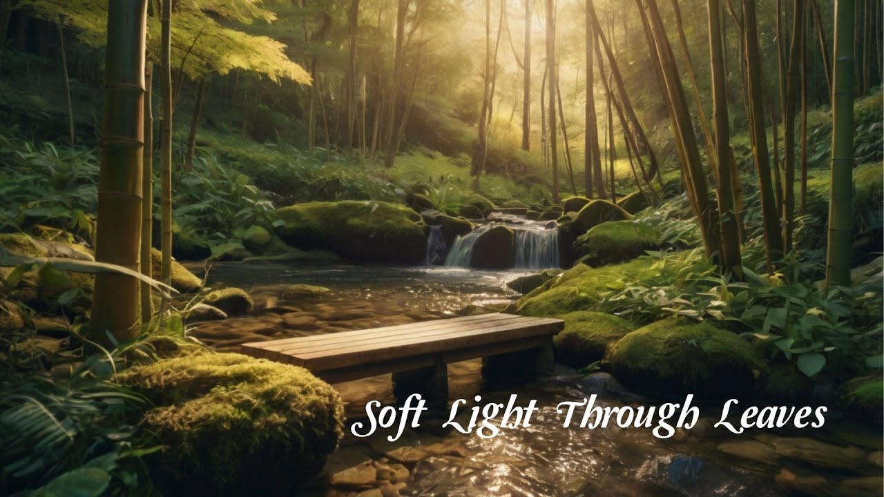 [64]🎵 Soft Light Through Leaves | Peaceful Forest Lofi | Bamboo Flute & Soft Strings for Study &Calm