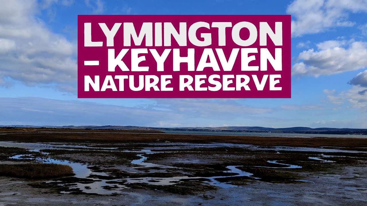 Lymington - Keyhaven Nature Reserve