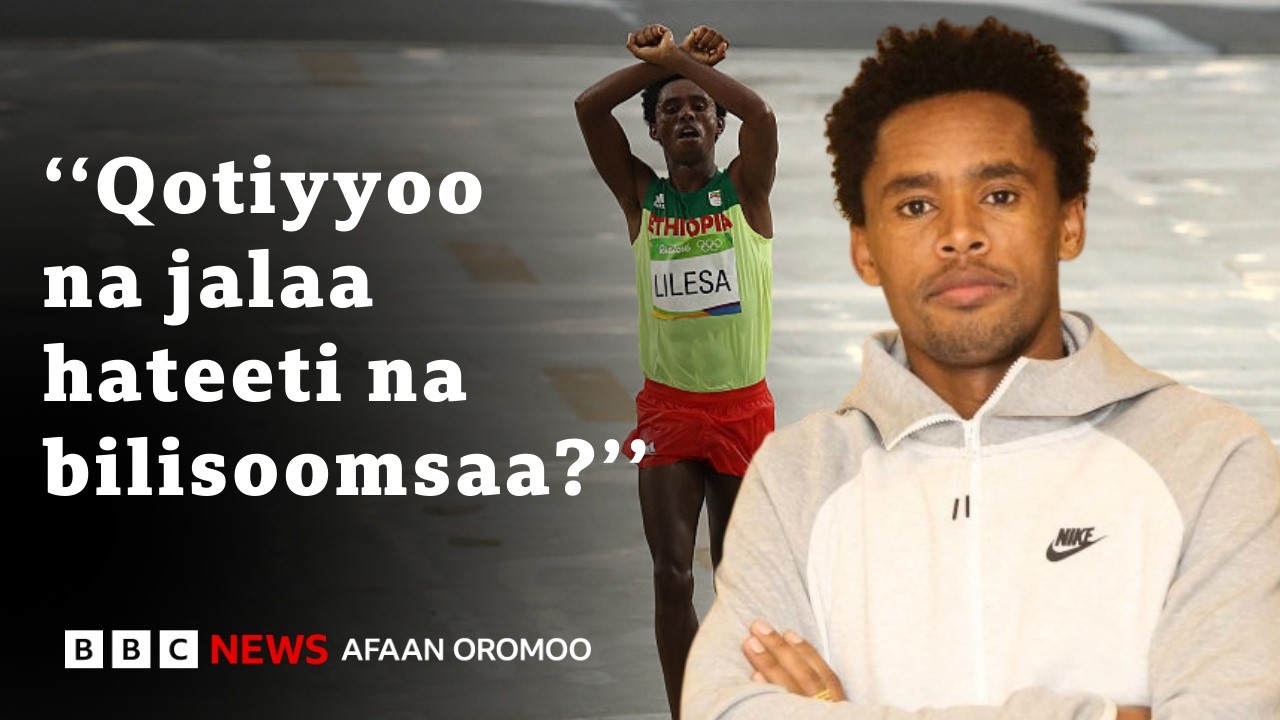 Atileet Fayyisaa balaa, mootummaa, WBO fi barreeffama isaarratti | BBC News Afaan Oromoo