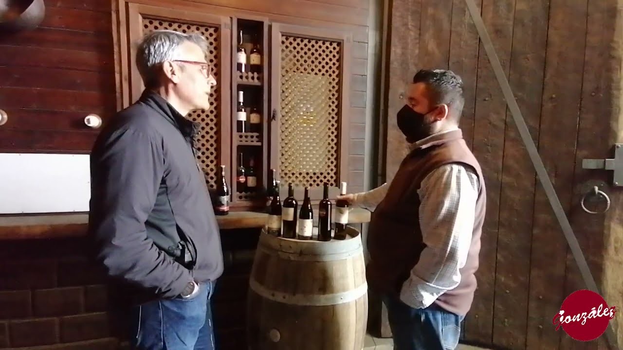 Vinos de Madrid: Capital del sabor