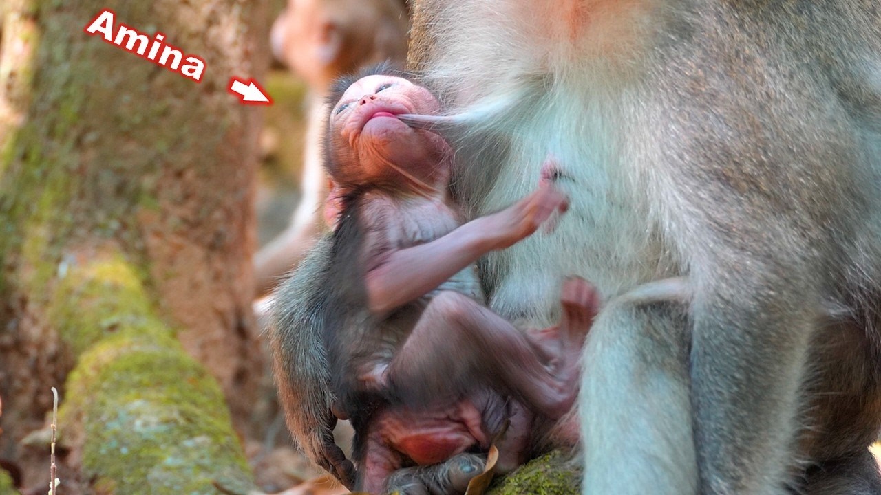 Happy moments of adorable baby Amina after receiving good care from her mother Anna