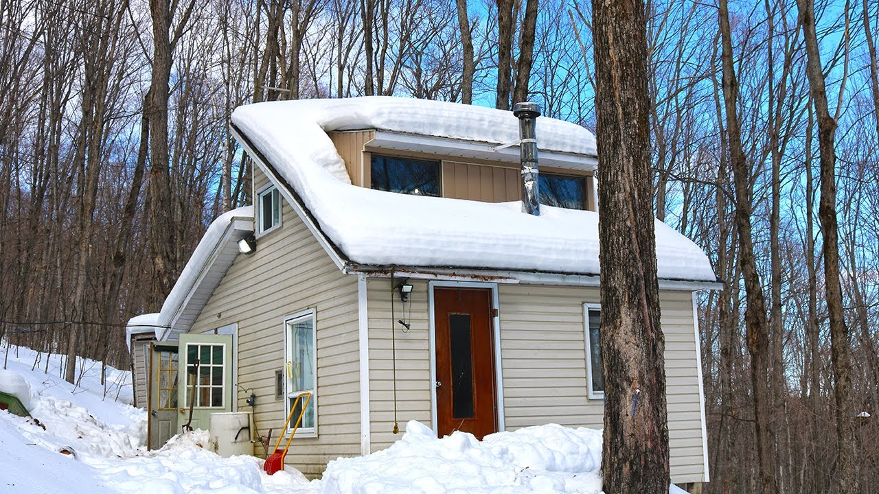 The Sugar Bush - Tapping Maple Trees and Gearing Up for Syrup Season