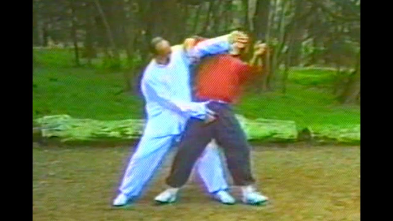 八卦掌 BAGUA ZHANG EAGLE PALM APPLICATIONS