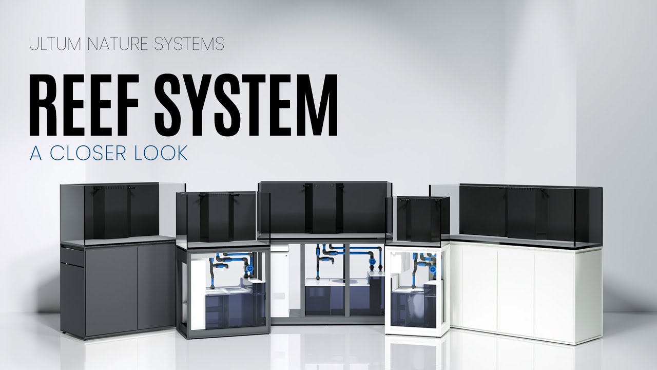 A Closer Look at the UNS Reef System for Saltwater Setups
