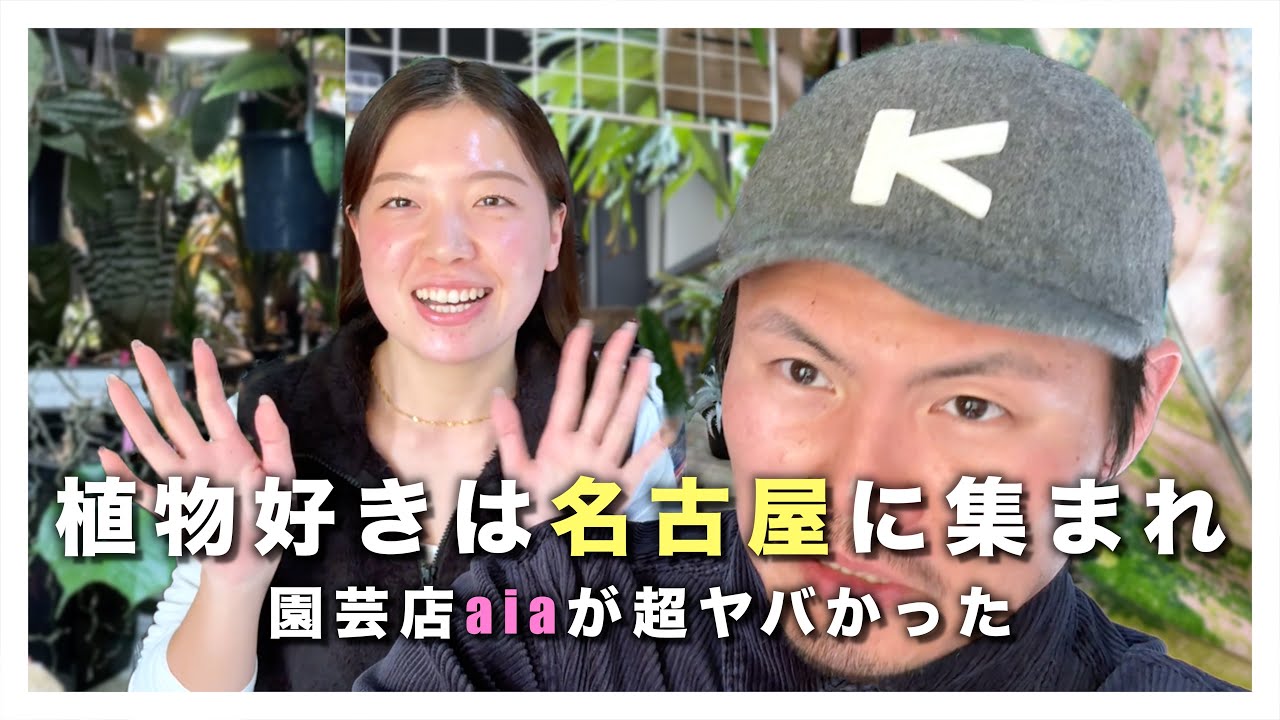 珍しい植物好きな人必見！名古屋にあるオススメの園芸店「aia」さんを紹介します！【園芸店紹介】【観葉植物】