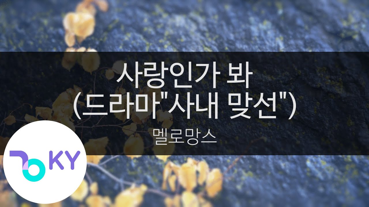 사랑인가 봐 (드라마