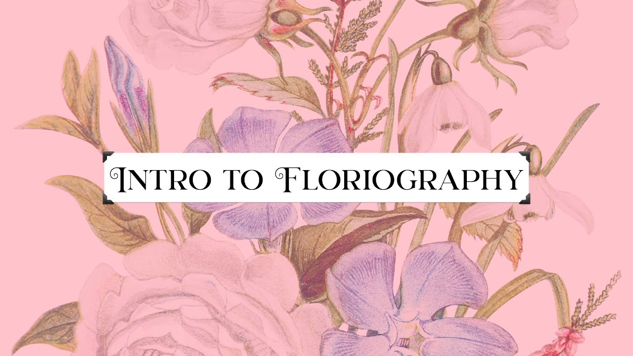 Intro to Floriography   HD 720p