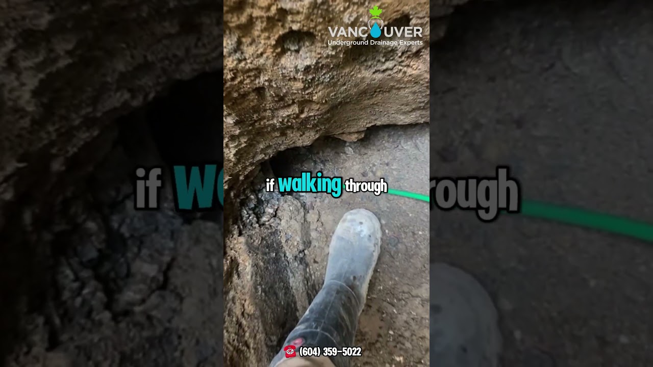 Yard Drainage Problems