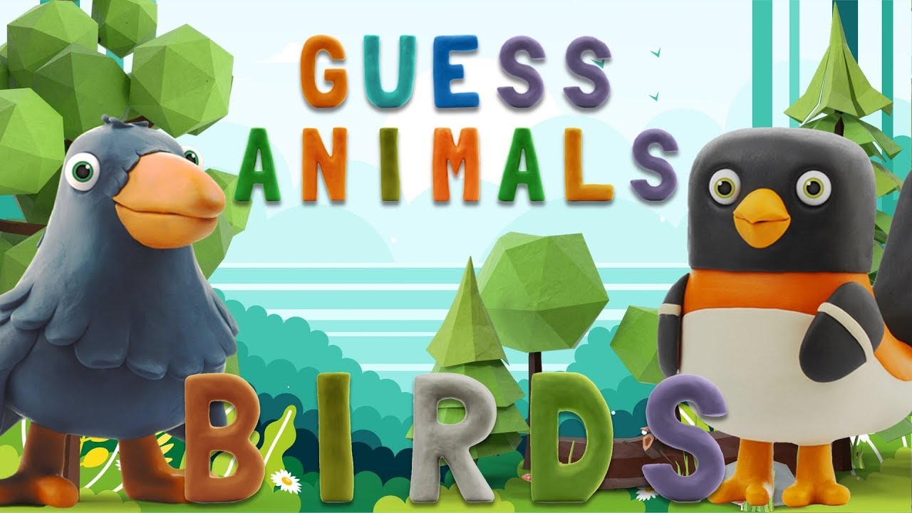 GUESS ANIMALS - BIRDS  | Learn ABC and animals easily | talking abc