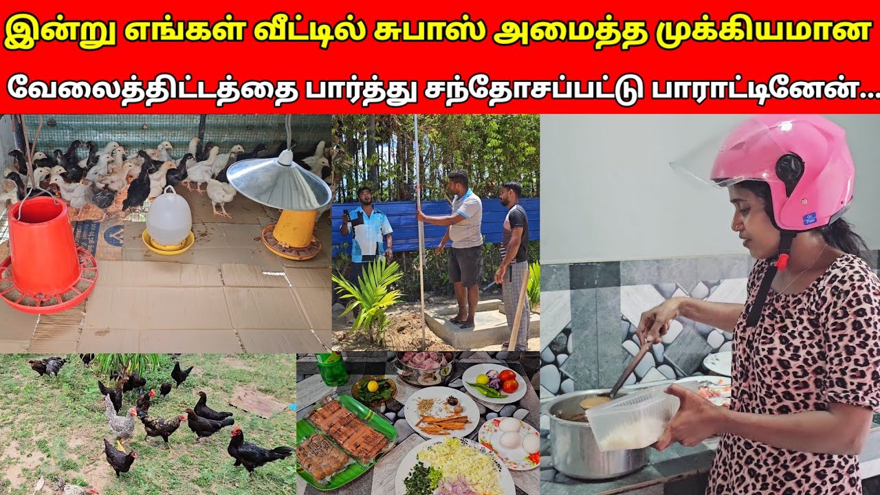 இன்று என்‌மதியசமையலை கேள்விபட்டதும் ஒடோடி வந்த அனு..🤔🤔/jolly vlog/jaffna vlog/👌👌