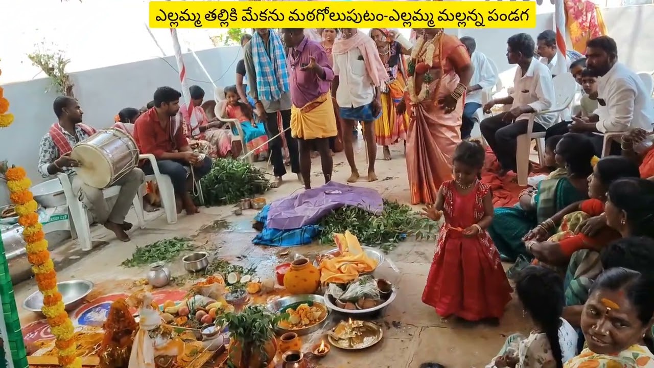 ఎల్లమ్మ పండగ - మేకను మఠగోలుపడము #ellamma #mallanna 