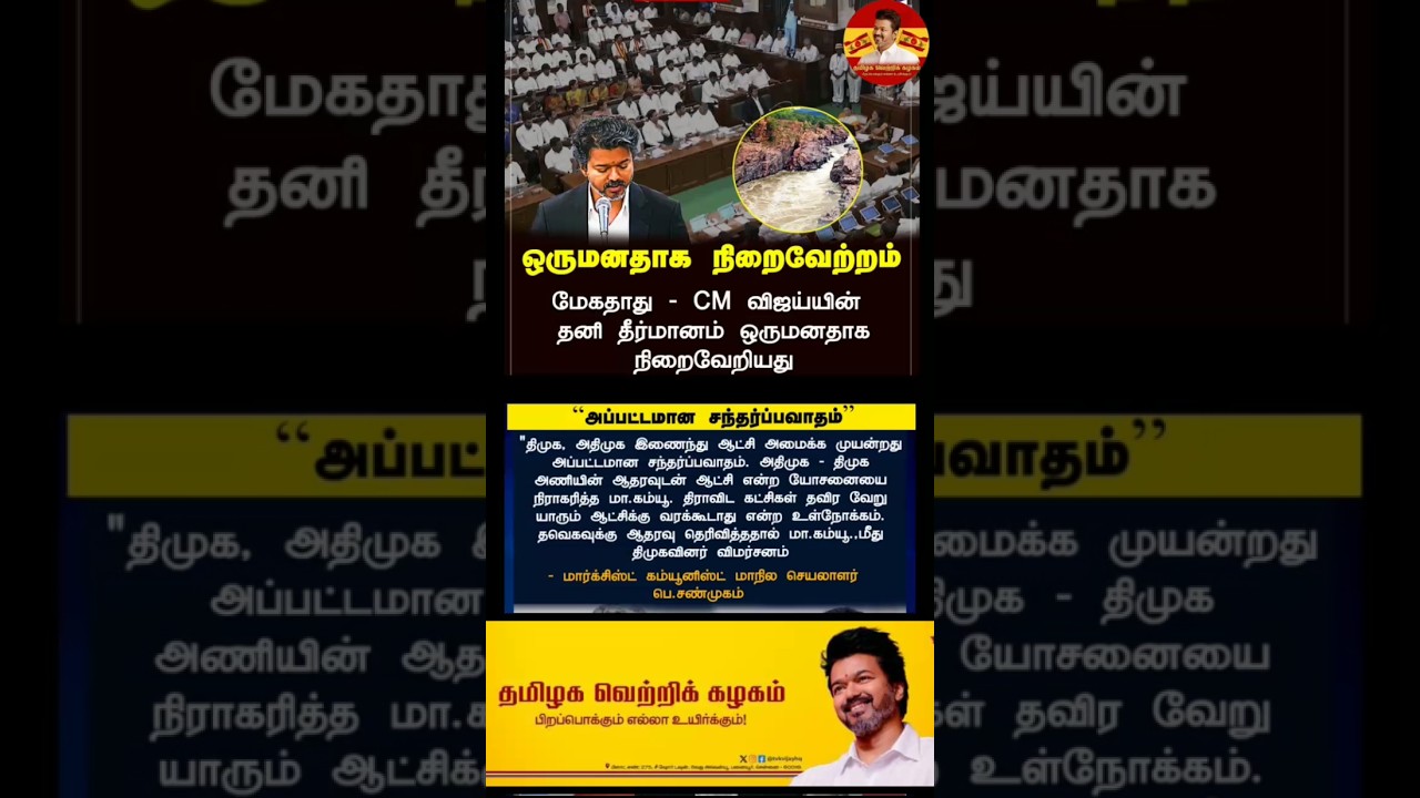 💯🔥🎉👏🏼 #tvk #vijay #thalapathy #trending #politics