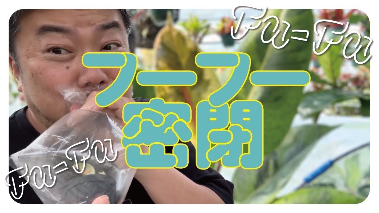 【邪道】二酸化炭素を試してみないか⁉️ (経過報告！)
