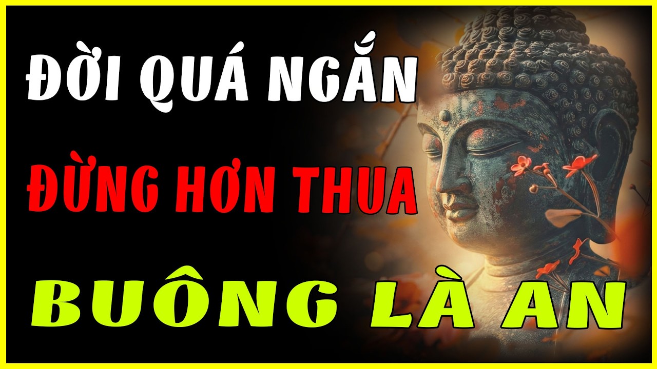 Đêm Trằn Trọc Vì Cay Đắng Bạc Bẽo? Nghe 5 Phút Lời Phật Dạy Để Tâm An Vạn Sự Thành.