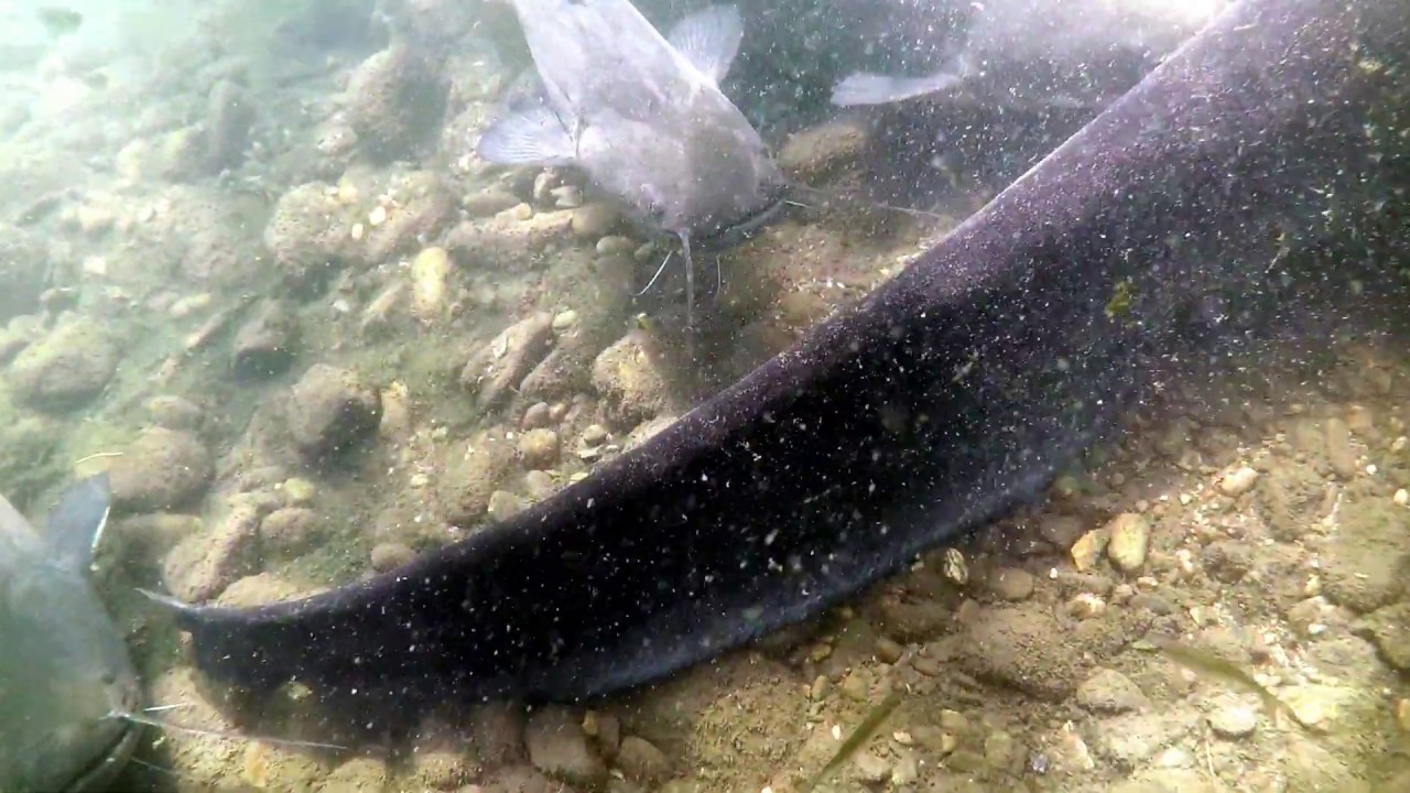 Plongée en eau douce