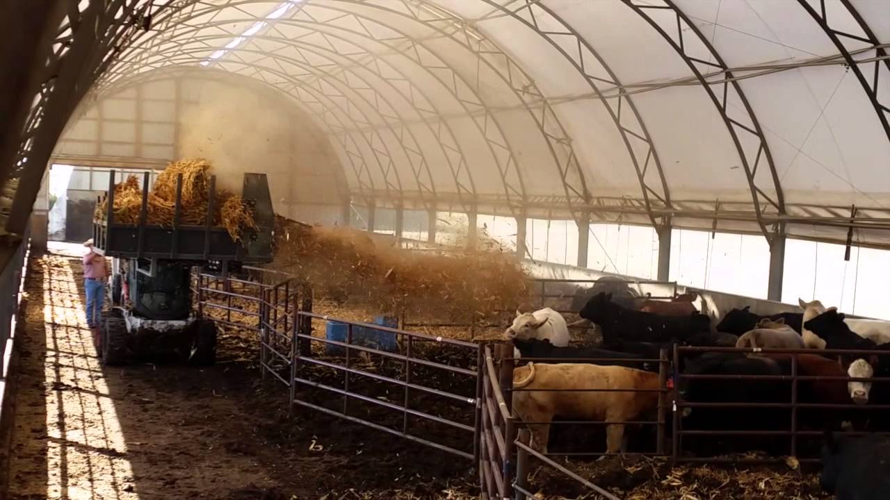 TOP-SPREAD Bale Spreader in a Hoop Building