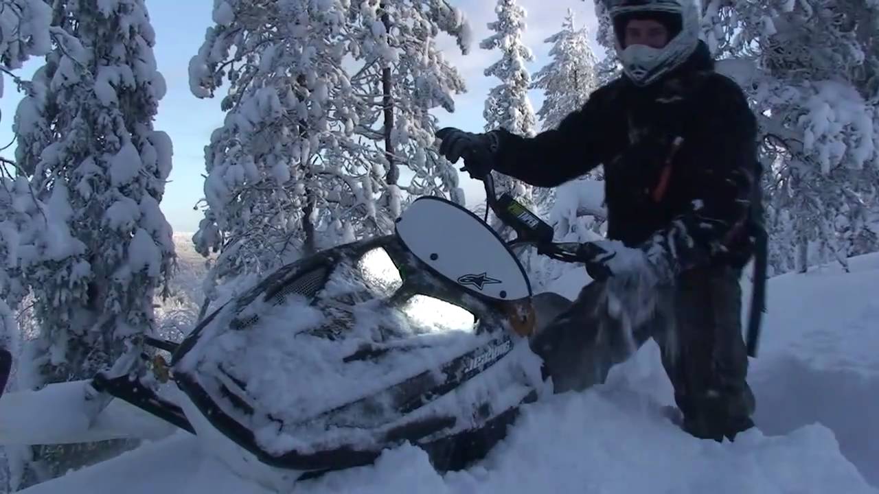 TeamJeabous 2010