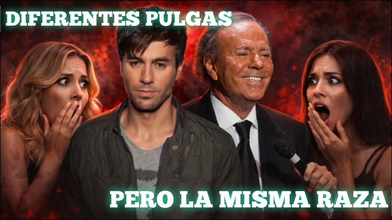 ENRIQUE Y JULIO IGLESIAS SON IGUALES 🐶 ANDREA DESTROZA AL MICH CON MENSAJES REVELADOS!!!