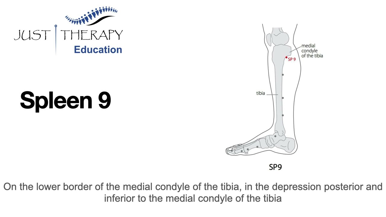 SP9 acupuncture point