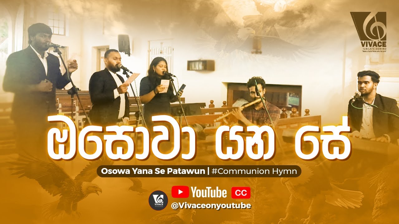 Osawa Yanase Patawun | ඔසවා යන සේ  @vivaceonyoutube