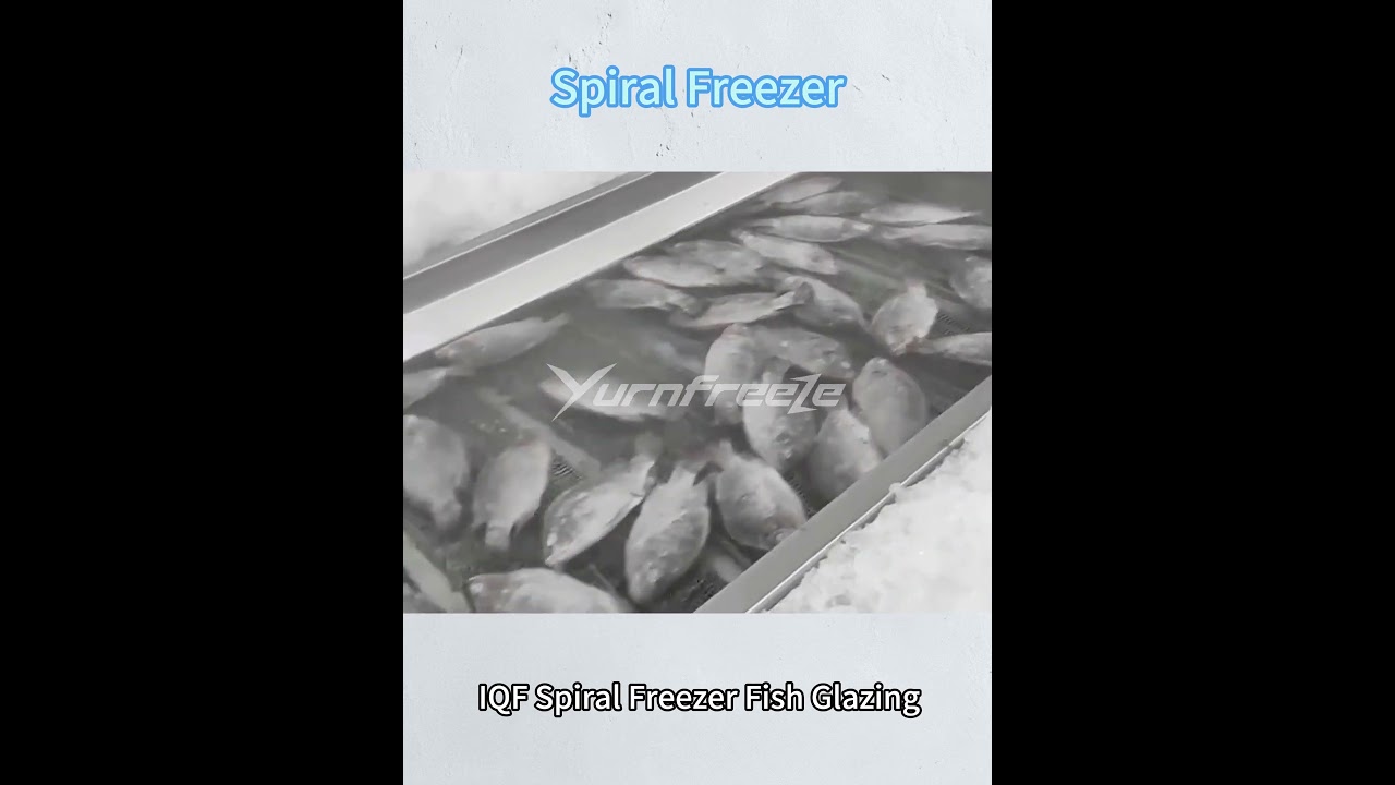 IQF Spiral Freezer Fish Glazing 
